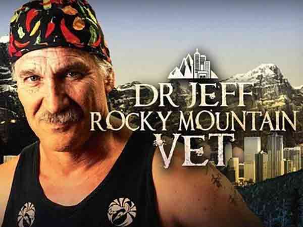 Dr. Jeff Rocky Mountain Vet