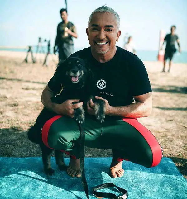 Image of American-Mexican dog trainer, Cesar Millan