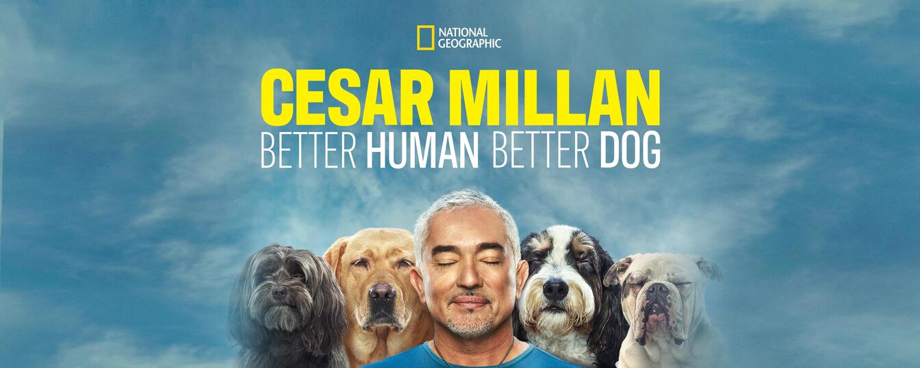 Cesar Millan Promoted the Patriot Vet Dog program at Big Dog Ranch Rescue for veteran support.