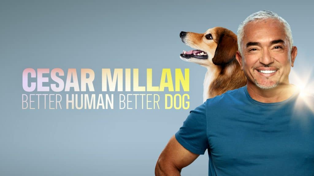 Cesar Millan Shared a training reel demonstrating techniques for handling dominant dogs that bite.