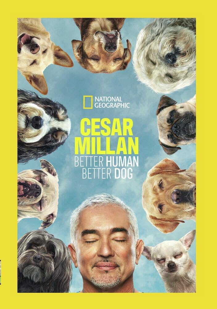 Where is Cesar Millan now and what happened to them